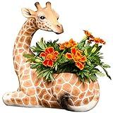 Bits and Pieces - Giraffe Planter - Yard Decorations - Wildlife Animal Urn for Plants - Indoor/Outdoor Decoration - Safari Inspired Yard Art