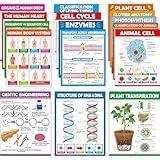 ZOIIWA 16Pcs Science Posters for Classroom Middle School Supplies Biology Poster Classroom Decoration Life Science Posters Charts for Teacher High School Education Bulletin Classroom Wall Decor