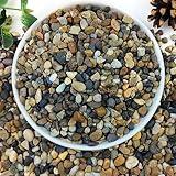 YISZM 5lbs Aquarium Gravel, 1/4" Fish Tank Gravel Natural River Rocks Succulent Cactus Pea Gravel for Plants, Pebbles for Gardening, Flower Pots, Vase Fillers, Indoor Water Fountains, Landscaping