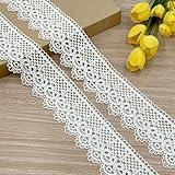 Designer’s Shop VL 6653 White Venice Lace Trim Gorgeous Vintage Pattern, 2-3/8” (60mm) x 3 Yards, DIY Sewing Crafting