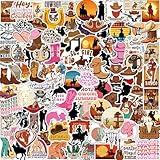 100PCS Cowboy Stickers, Country Western Decals Vinyl Waterproof Stickers for Water Bottle Laptop Luggage Helmet Skateboard Snowboard Guitar Scrapbook Phone Gifts for Teens Girls Kids Adult