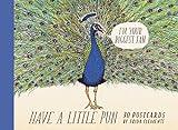 Have a Little Pun: 30 Postcards: (Illustrated Postcards, Book of Witty Postcards, Cute Postcards)