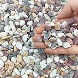 FANTIAN 2 lbs Natural Mixed Color Pea Gravel Pebbles, 3/8 inch Decorative Pebbles for Succulents, Pebbles for Indoor Plants, Vases, Aquarium Gravel, Top Dressing, Outdoor Decorative Rocks