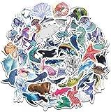 Ocean Stickers for Water Bottles, Cute Stickers for Laptop Phone Skateboard Luggage Helmet Guitar Bike Car, Cool and Trendy Waterproof Vinyl Decal for Teen and Girls (Marine Life)