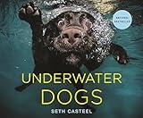 Underwater Dogs