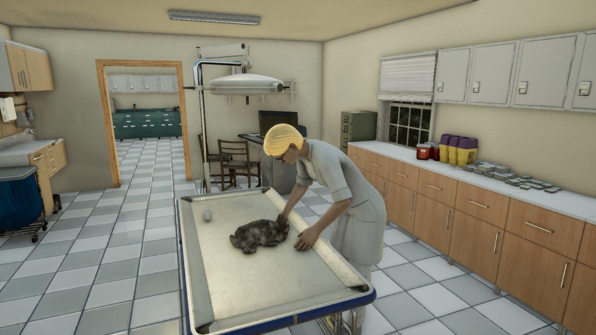 A vet is treating a cat in a clean, simple veterinary clinic.