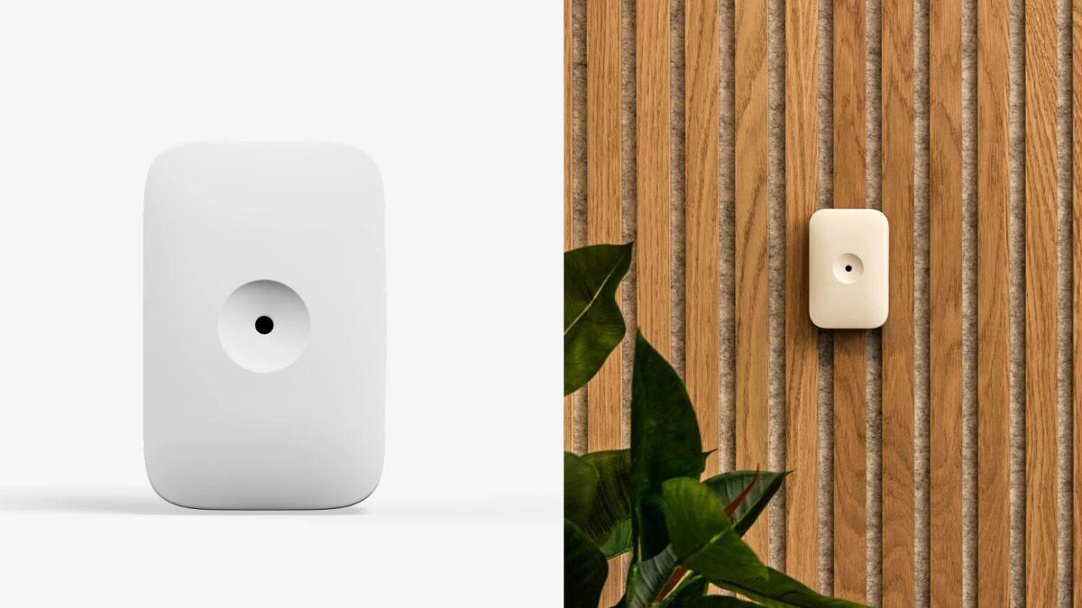 A white glass break sensor is mounted on a wooden wall with a plant nearby.