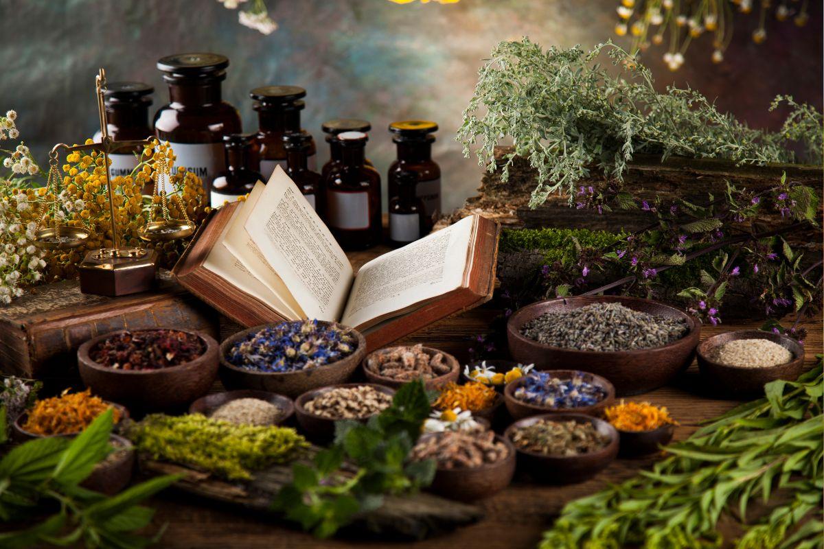 Nature's Medicine Cabinet: Exploring the 5 Best Herbs from Swanson in 2025
