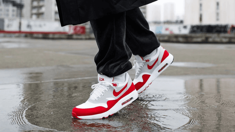 Nike Sneaker Treasure from StockX