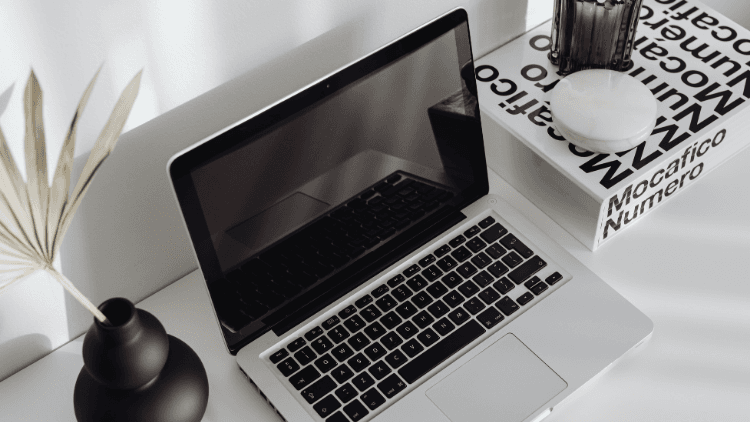 Leading Laptops from Newegg