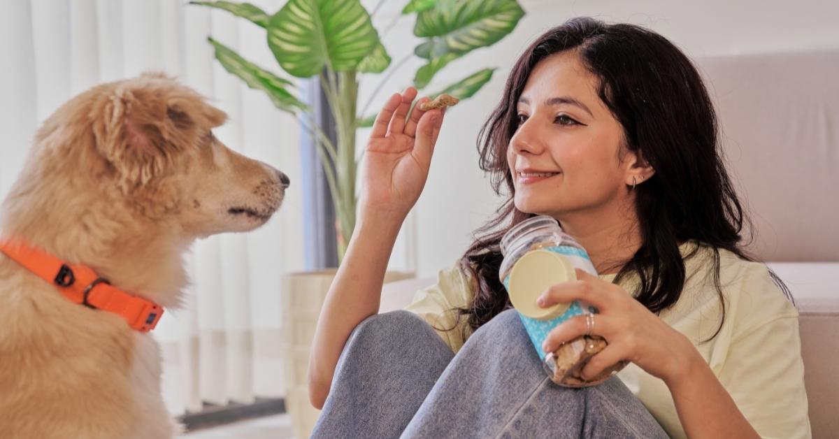 Pet owner offering dog treats at home while managing pet food delivery needs