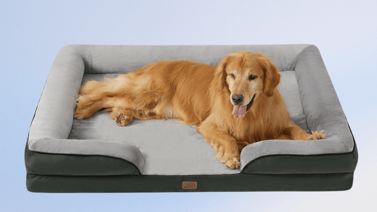 Bedsure XXL Orthopedic Dog Bed for Extra Large Dogs