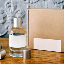 Neutral 100ml perfume Parfume in Brown Sealed Box Spray High quality Lasting Woody Aroma fragrance